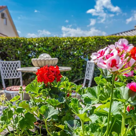Apartament Laura