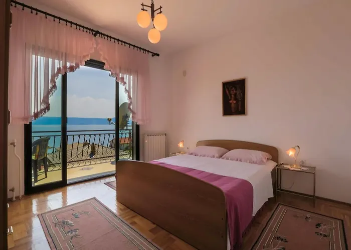 Laura 诺维·维诺多尔斯基